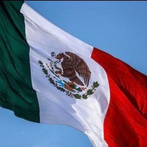 Meet your Posher, Elia